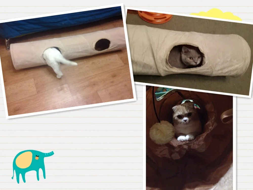 HTB1MeGTLpXXXXb5XXXXq6xXFXXX0