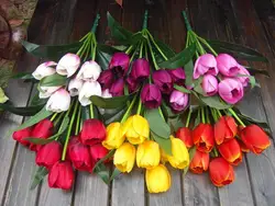 Бесплатная доставка Свадебные украшения 9 головы искусственный Tulip шелковые цветы для украшения корпуса 6 цветов в наличии