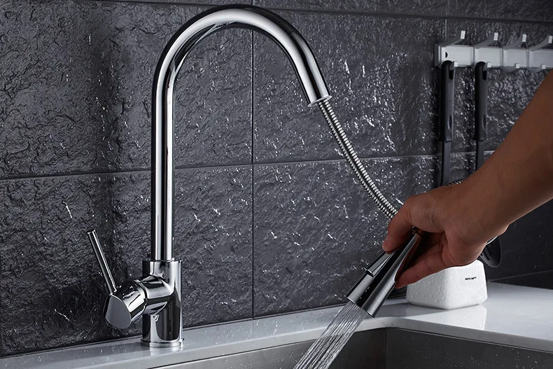 4663941101_471096822