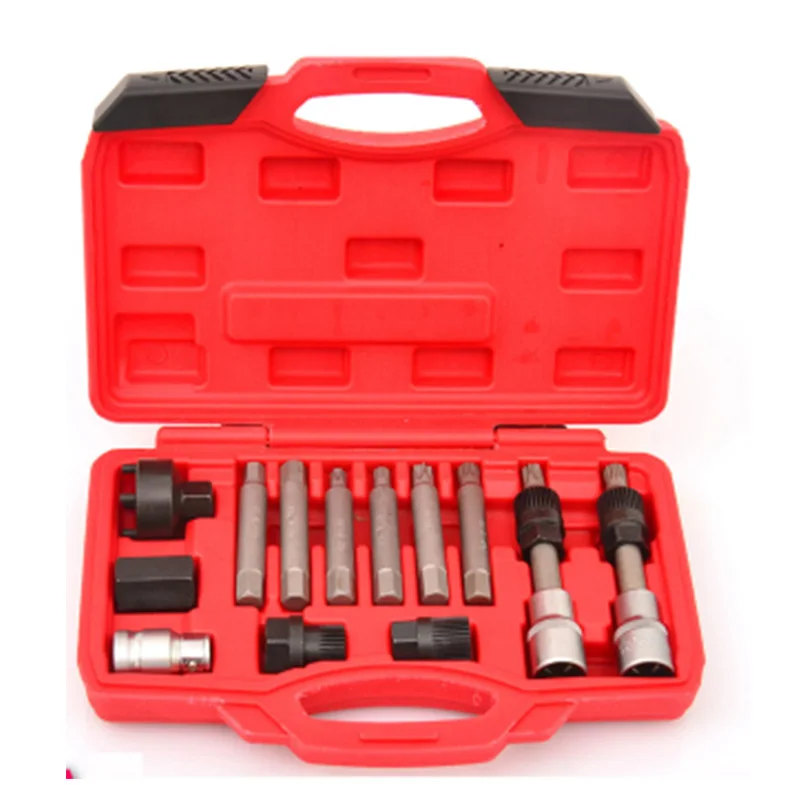 

13pcs/1set Alternator Freewheel Pulley Removal Engine Tool Set ,Professional Auto Tool Set