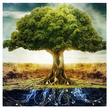 HTB1q9yDJXXXXXbhXVXXq6xXFXXXB