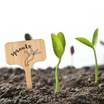 

50PCS Plant Labels Flower Card Succulent Label Cards Landscape Signboard Nameplate Carved Bamboo Wood Sign Tags