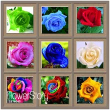 Большая распродажа! цветочные горшки, 20 видов, 50 шт./пакет радужного цвета, украшенное розами, красивое РОЗОВОЕ SeedsPlants бонсай растения# S44ZGK