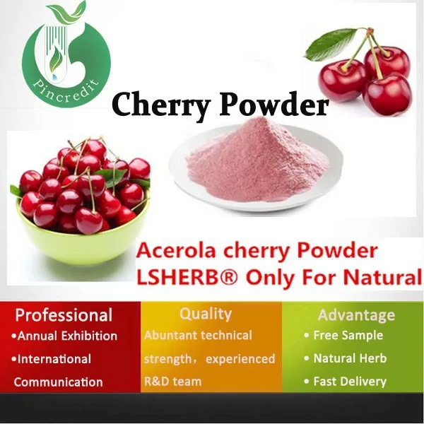 2015 New Arrivals Fruit Powder Cherry Blossom Extract Powder Cherry