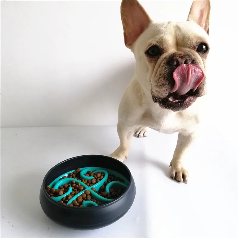 dog bowls slow feeder (26)