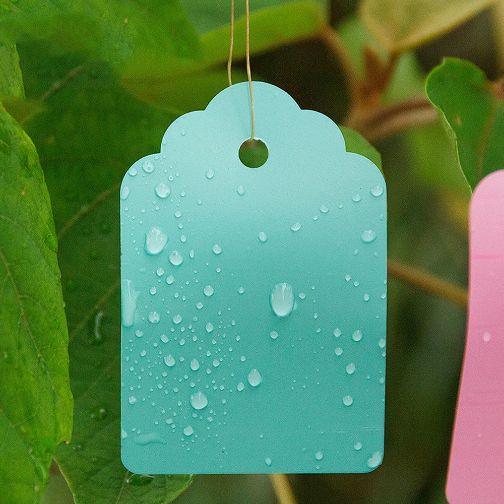 

100PCS Plants Hang Tag Labels Brands Seedling Garden Flower Pot PlasticTree Plant Tag