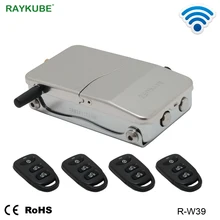 RAYKUBE Electronic Door Lock With Remote Control Keys Opening Invisible Intelligent Lock Wireless Keyless Door Lock R-W39