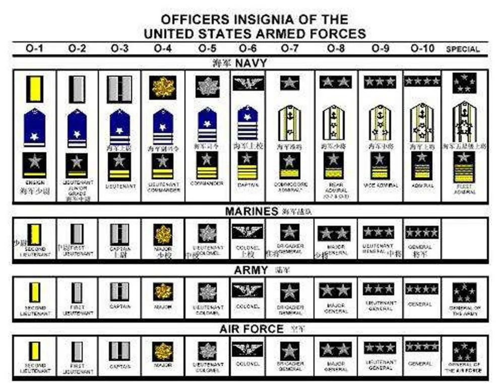 Звания военнослужащих США. Воинские звания армии США. Иерархия званий в армии США. Воинские звания армии США таблица.
