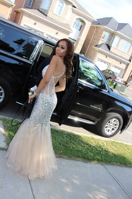 Best Offers Real Photos Crystal Beads Tulle Mermaid 2018 sexy backless V Neck Cross Floor Length Party Pageant Prom Gown bridesmaid dresses Best Offers Real Photos Crystal Beads Tulle Mermaid 2018 sexy backless V Neck Cross Floor Length Party Pageant Prom Gown bridesmaid dresses