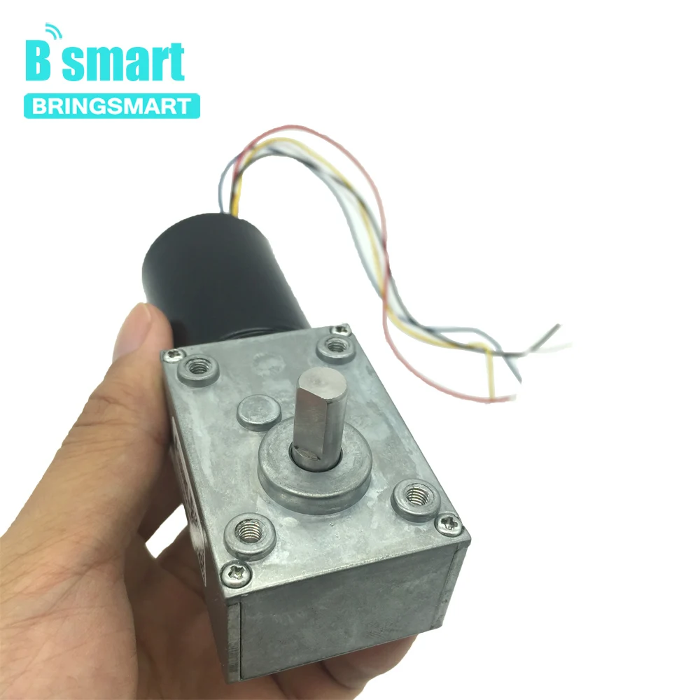 

Bringsmart 12V Worm Gear Motor 5840-3650 Micro Turbine Worm Reducer DC Motor Brushless 24V Reversible Self-lock Gearbox Brake