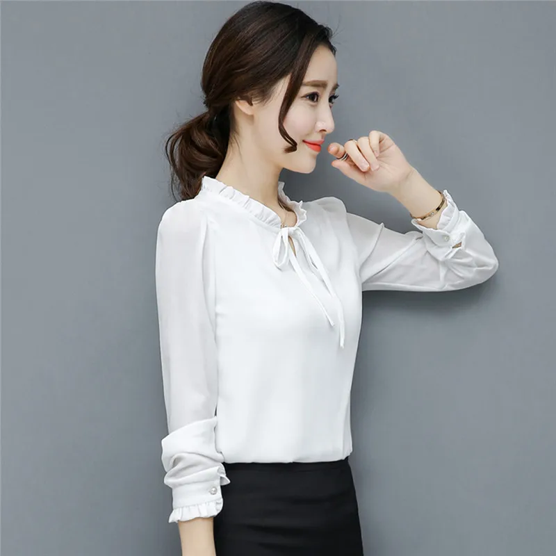 Chiffon Blouse (7)