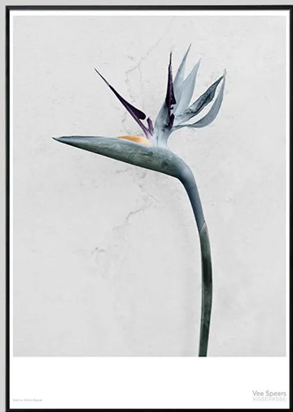 a1