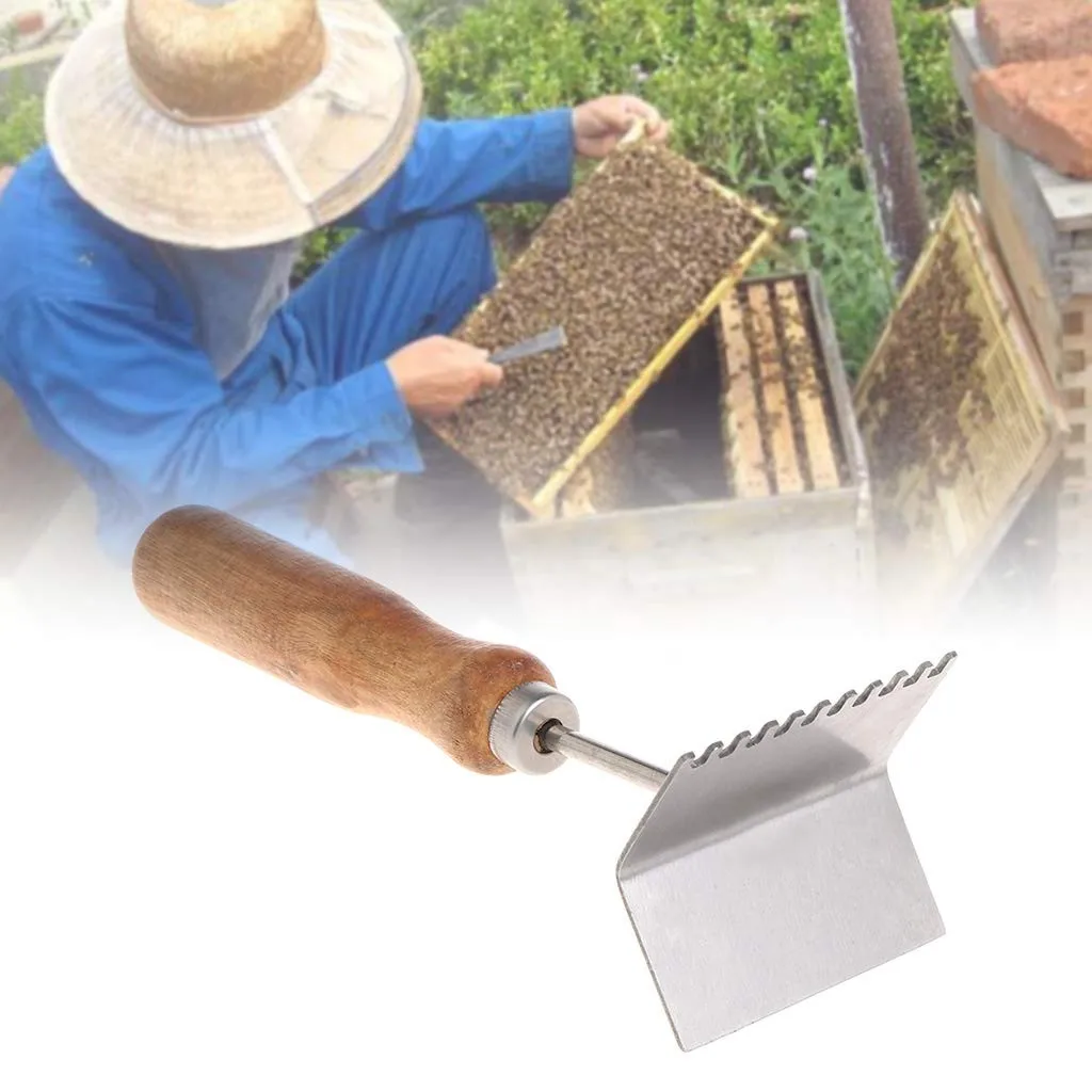 Нержавеющая сталь доска гнездо Лопата пчелиная рама лопатка для чистки пчеловодства инструменты