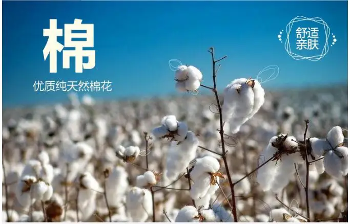 QQ20170808172603