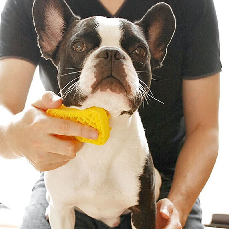

Silicone Dog Bath Brush Comb Cleaning Bath Massage Grooming Dog Cat Brush Shampoo Grooming Multifunctional Silicone Pet Brus