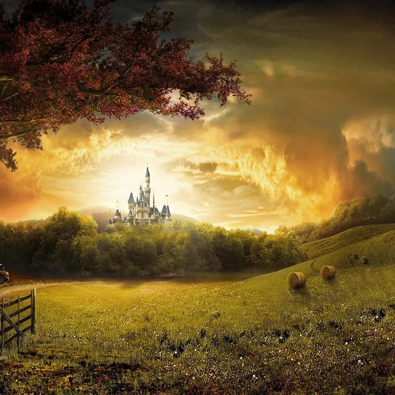 

Vinyl Photography Background Computed Printed Fairy Tale Vintage Castle Cinderella Children Backdrops for Photo Studio CM-6755