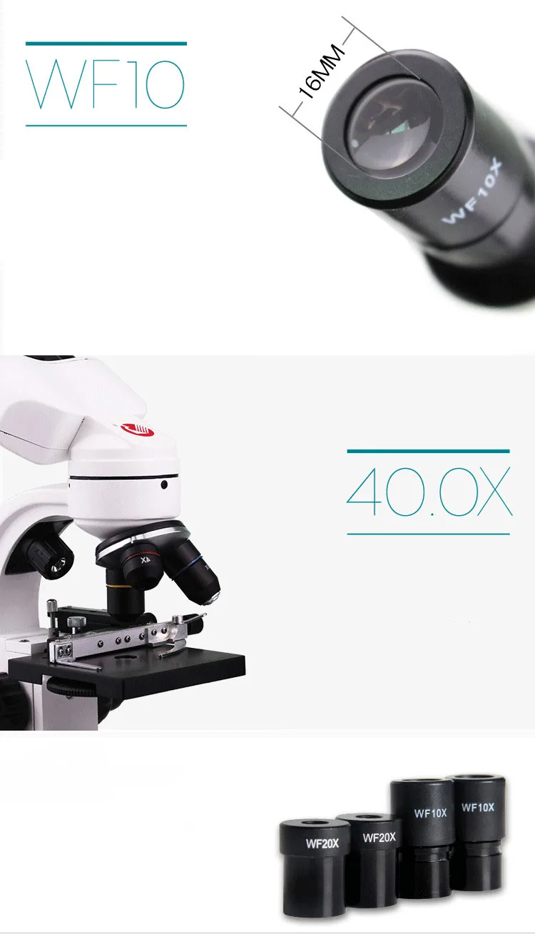 Microscope Compound Binoculars Professional Biological Microscope-5