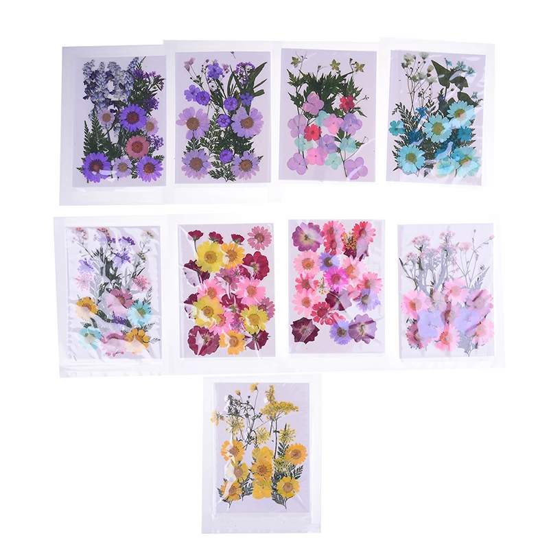 1 Pcs Beautiful Pressed Dried Flower Dry Plants For Epoxy Resin Pendant Necklace Jewelry Making Craft DIY Accessories|Инструменты и