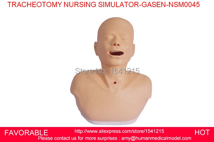 ADULT TRACHEOTOMY NURSING SIMULATOR / ADULT TRACHEA INCISION NURSING MANIKIN,TRACHEOTOMY NURSING SIMULATOR-GASEN-NSM0045 ADULT TRACHEOTOMY NURSING SIMULATOR / ADULT TRACHEA INCISION NURSING MANIKIN,TRACHEOTOMY NURSING SIMULATOR-GASEN-NSM0045