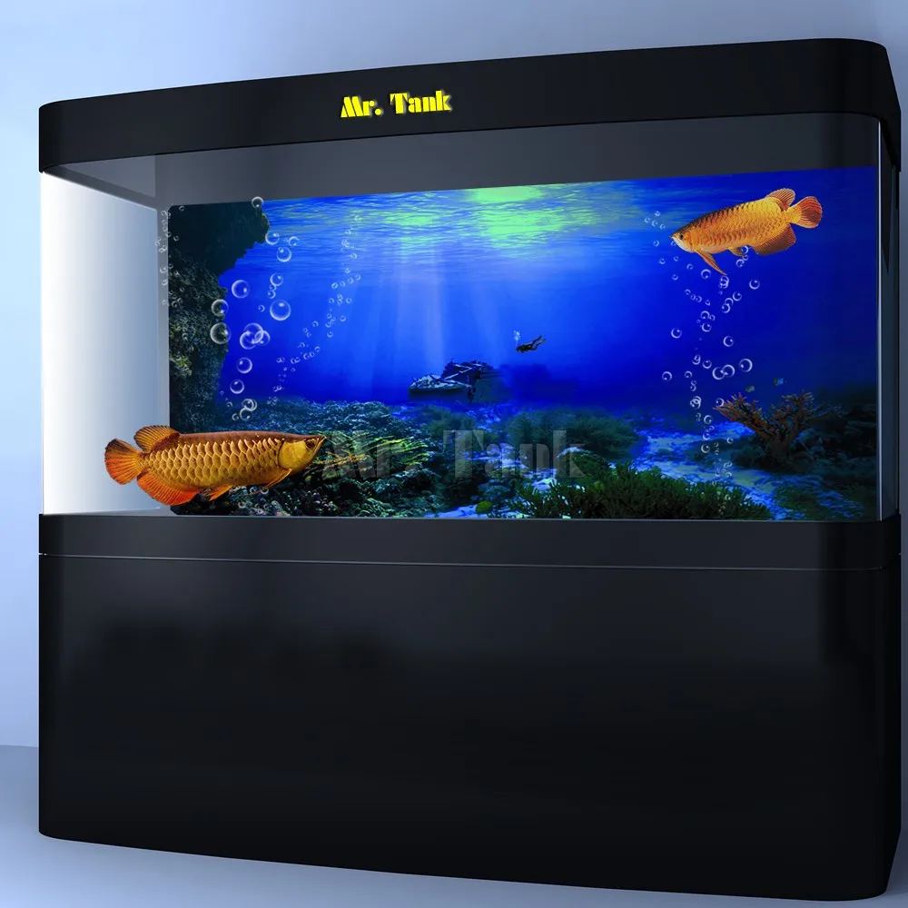 aquarium background price