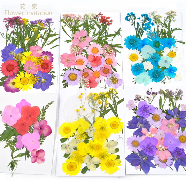 

Flower Invitation Mixed Dried Plant Specimens DIY Hand Pressed Flowers Natural Dried Flowers