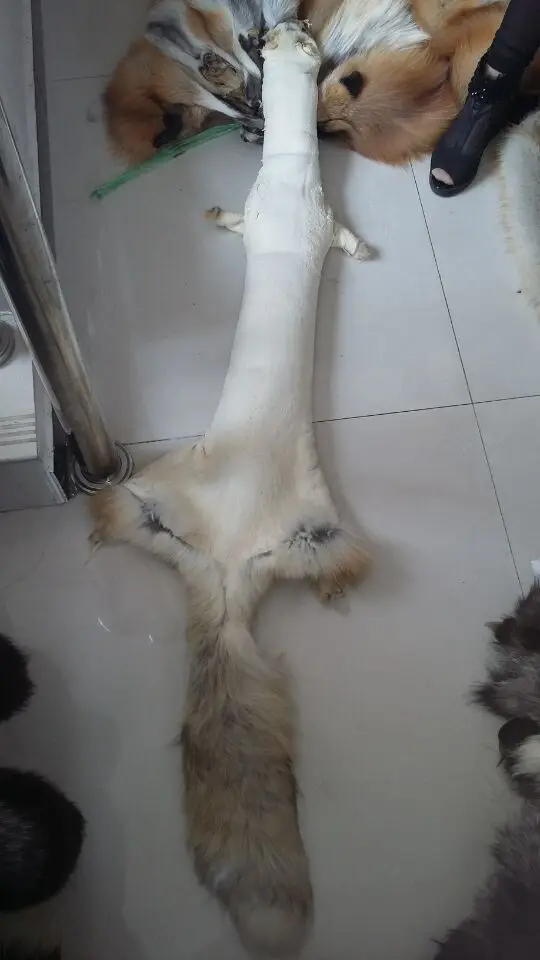 Шкура из красного лисьего меха натуральный красный меха|fur skin|fox fur skinfox pelts |