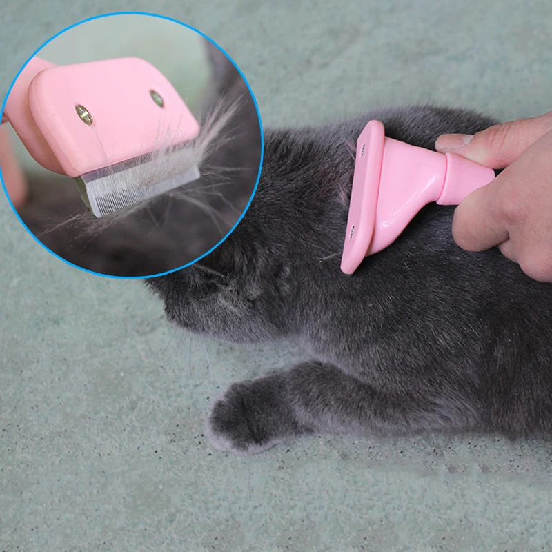 HTB11UDAff9TBuNjy0Fcq6zeiFXao