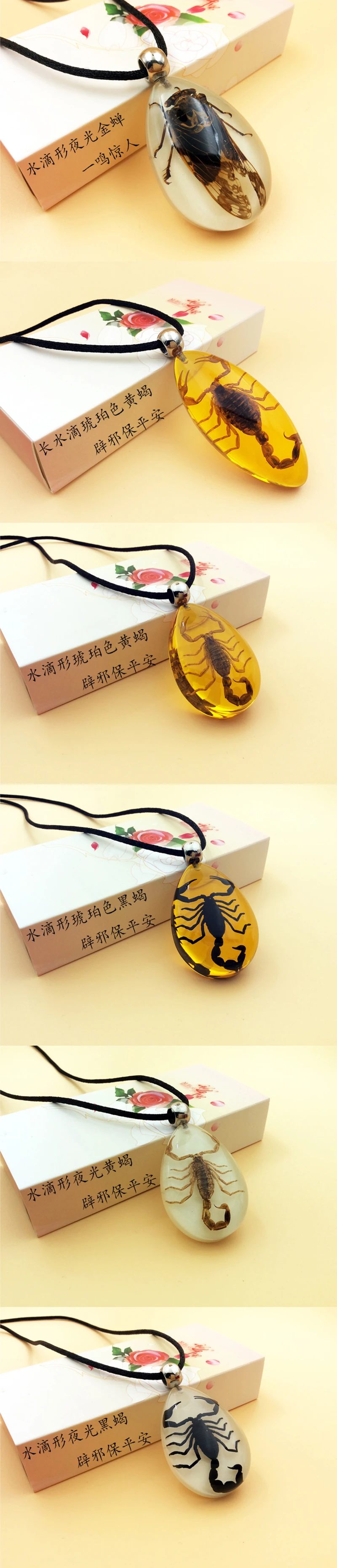4 pcs Hot Sale Cute Shape Fresh Style Paperweight Insect Specimen