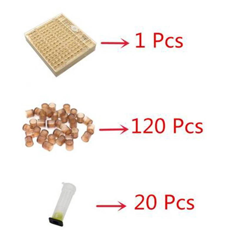 

Beekeeping Tools Queen Rearing System Equipment Set Crop Box 120pcs Bee Cups Cell Bee Cell Cups Cup kit Queen Cage