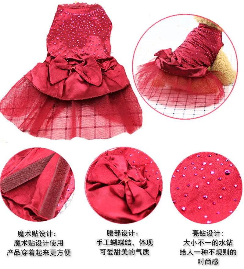 8658388301_1119372358