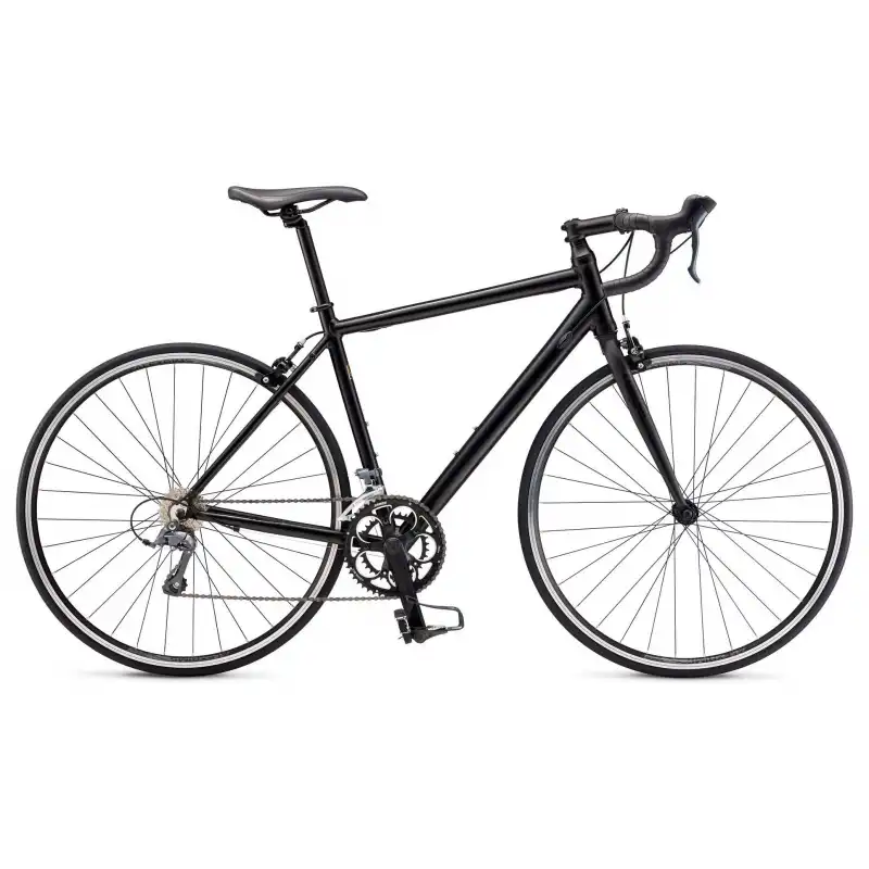 schwinn fastback 3