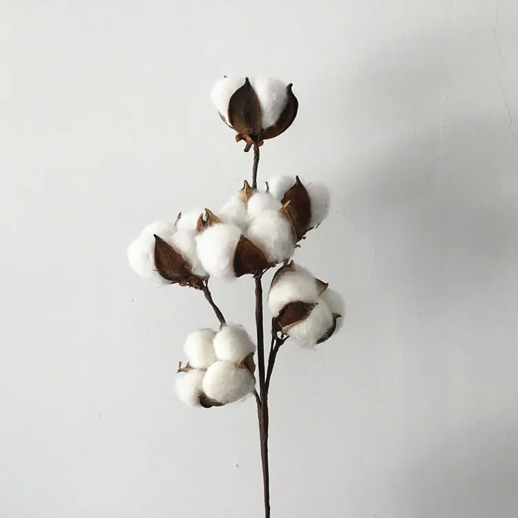 Flone 6 Head Dried Flower Cotton Branch Cotton Long Branch Simulation Cotton Tree Branch Home Wedding Decor Artificial Flowers (3)