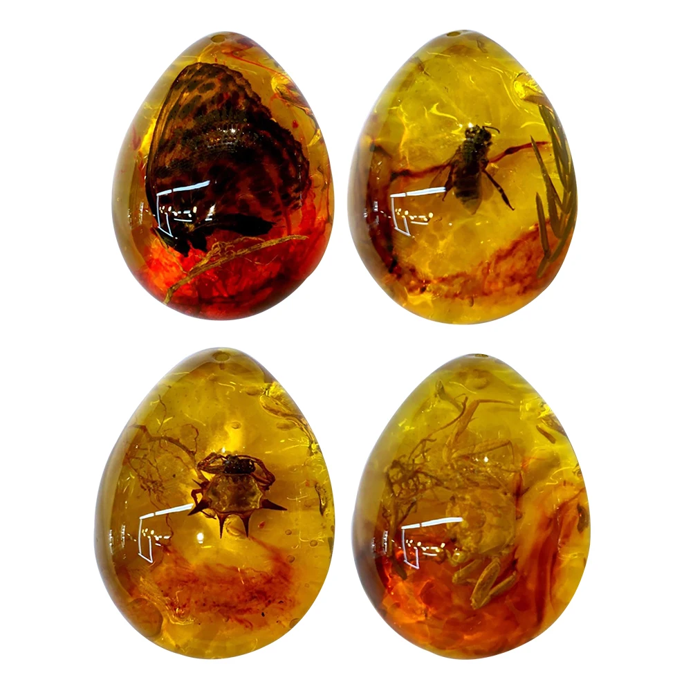 

1pc Amber Fossil with Insects Beautiful Samples Oval Pendant Collection Home Decorations