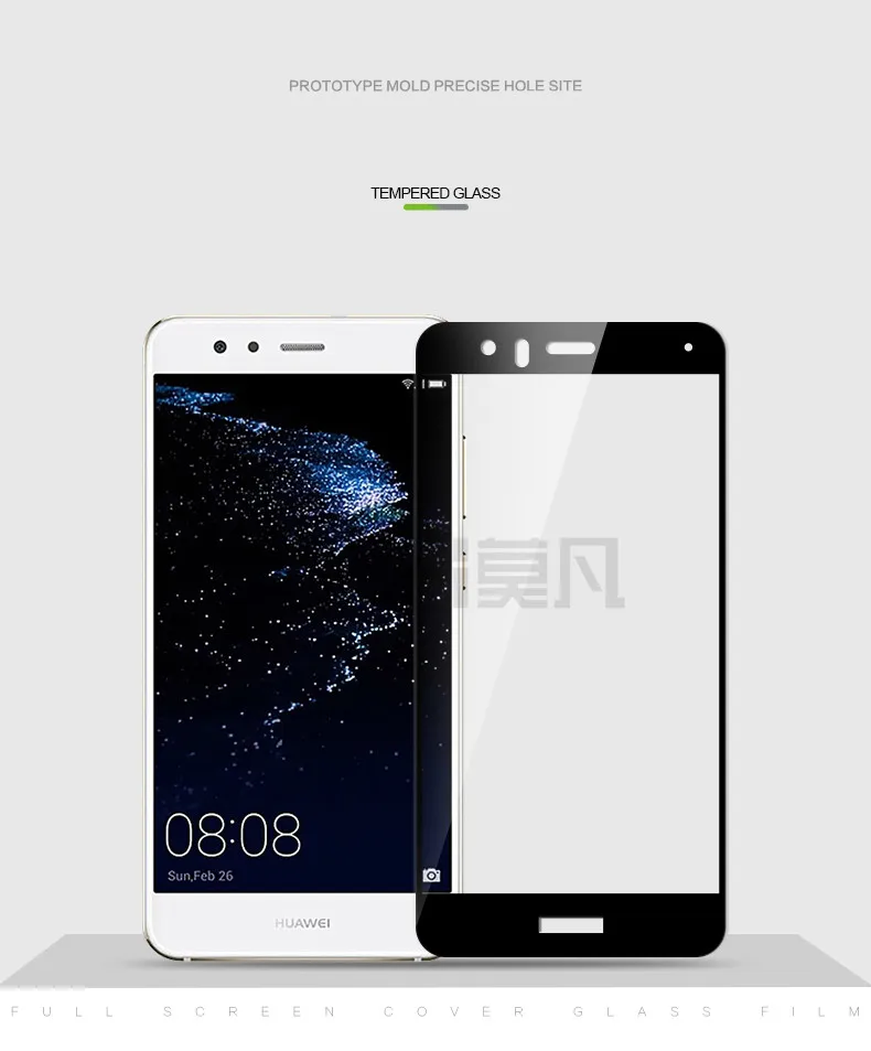 aP10lite_03