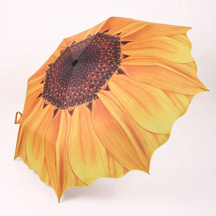 1409088655_1091272507