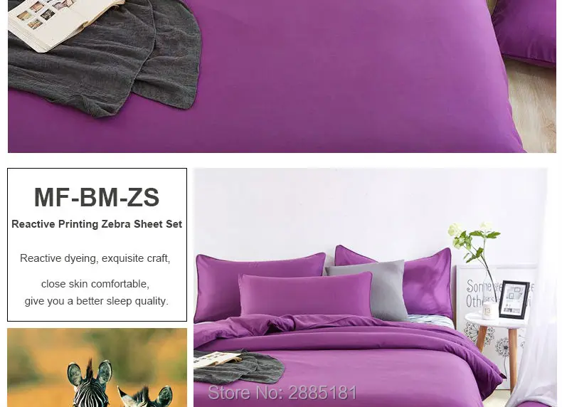 MF-BM-ZS_02