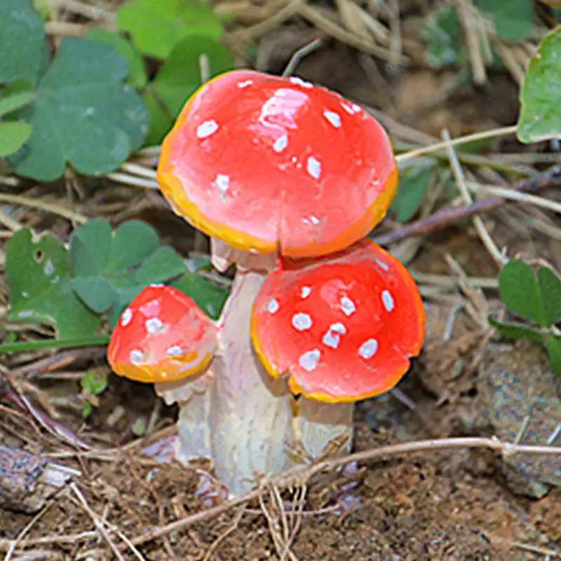 Высокое качество Прекрасный DIY гриб Toadstool миниатюрный волшебный сад-Террариум фигурка кукольный домик украшение - Цвет: 3