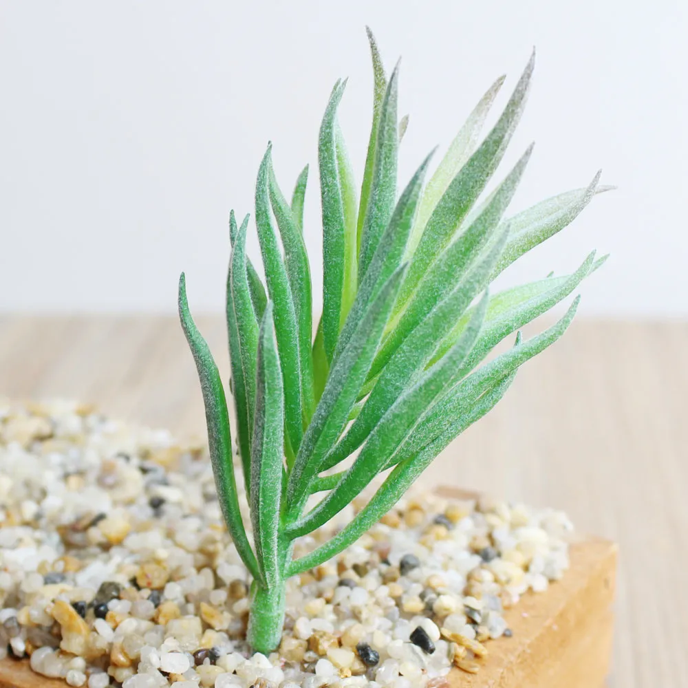 3196079903_1211887508