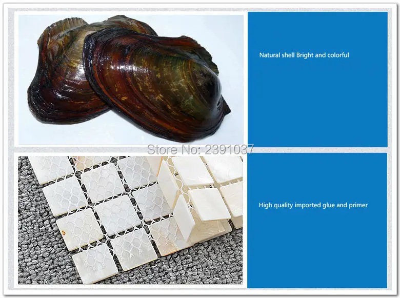 FHDCSHELLMT001F5