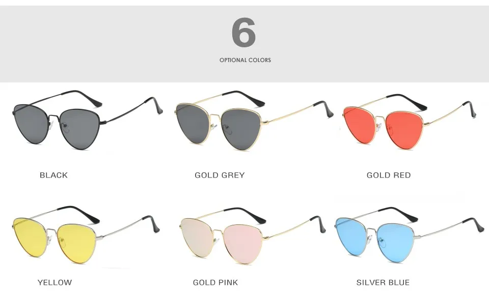 tinted sunglasses (2)