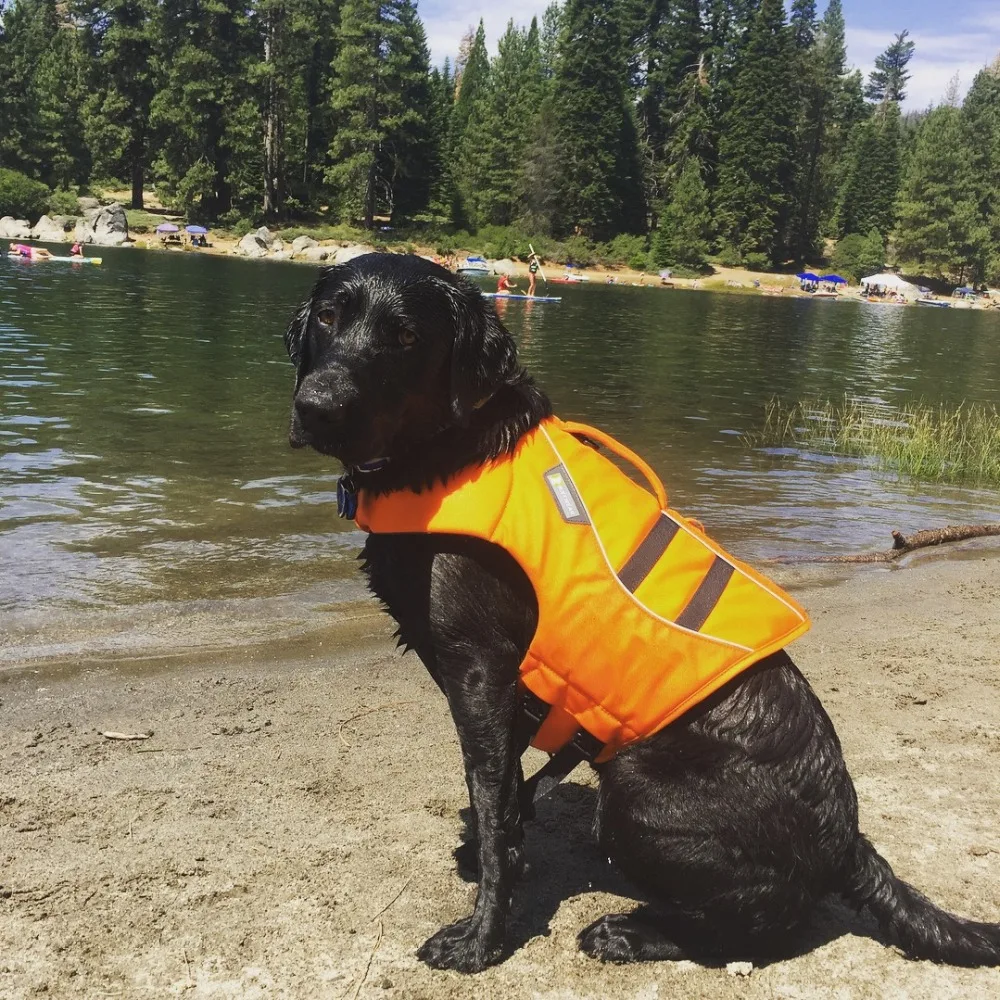 K-9 плавающий плащ для собак, плавучий, безопасный, светоотражающий