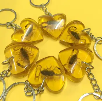 

FREE SHIPPING 6 Piece trendy yellow lovely heart real scorpion keychain