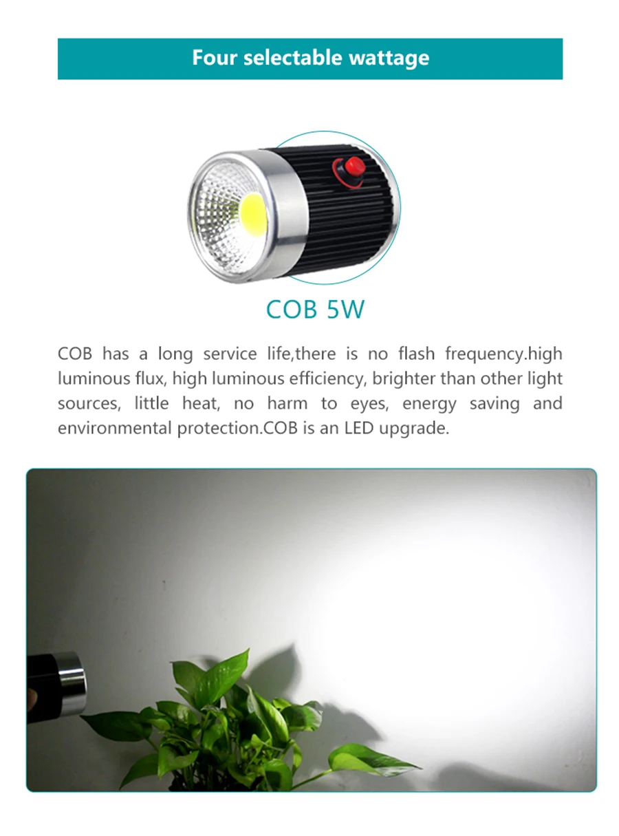 COB_04