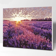 Красота лаванды DIY картина по номерам ручная роспись маслом гостиная комнатное домашнее настенное Декор цветы цветение работа
