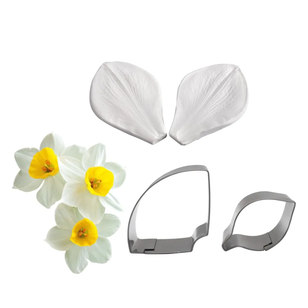 Daffodil-2