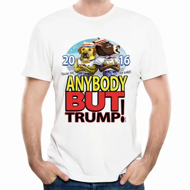 Trump felony sentencing