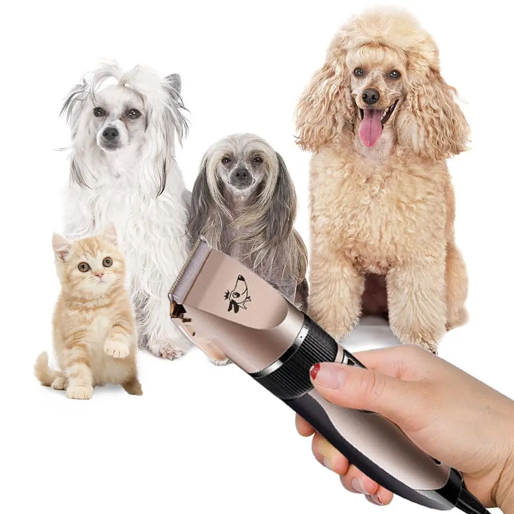 Электрическая машинка для стрижки домашних животных USB парикмахерский Набор для бритья для собак электрическая машинка для чистки
