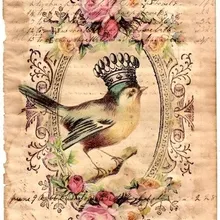 15*20 см Цифровой Ретро дизайн ткань-птицы ткань шитье Тильда DIY лоскутное Скрапбукинг стеганый Tecido