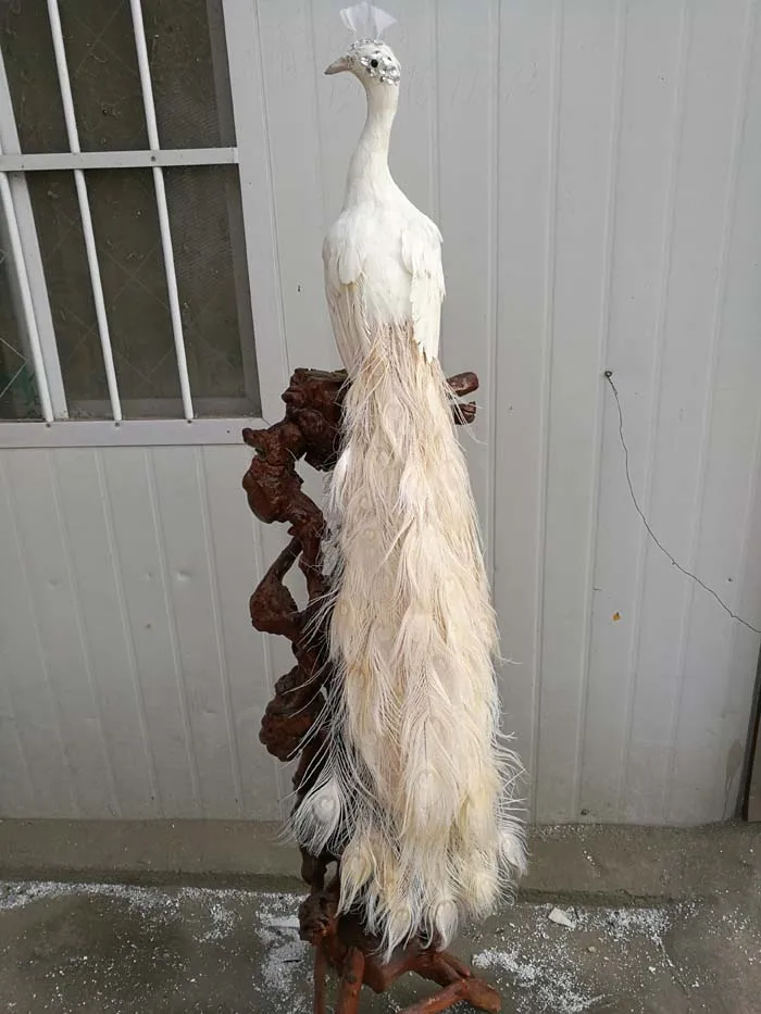 new simulation peacock model polyethylene & furs white peacock doll