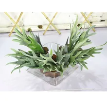 Tsimulation Platycerium мягкий стекаются реалистичные вечерние партии дома Свадебные украшения летучие мыши Олень Рог Папоротник Зеленый отель